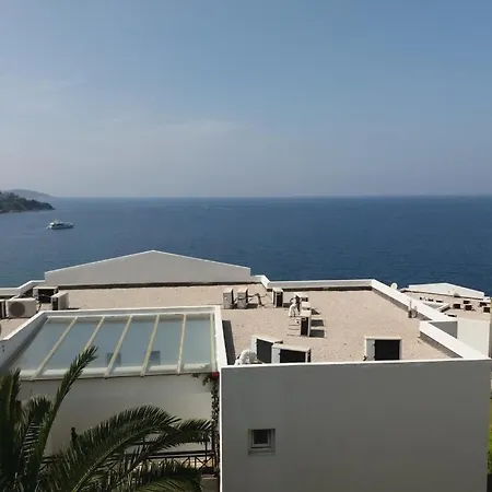 Villa Manolya *